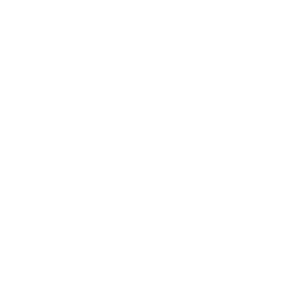 AI-Analyst Graphics_Security Icon v1